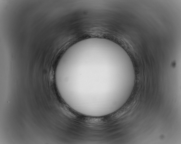 X0000100350081200806060810