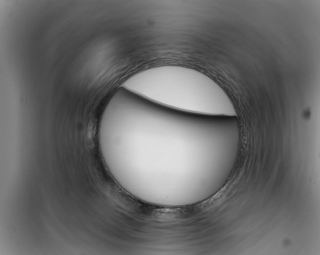 X0000100350082200806060810