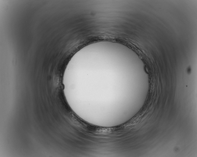 X0000100350084200806060810