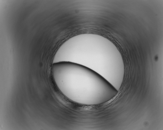 X0000100350086200806060810