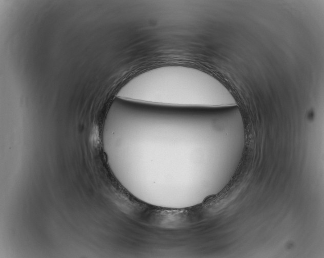 X0000100350089200806060810