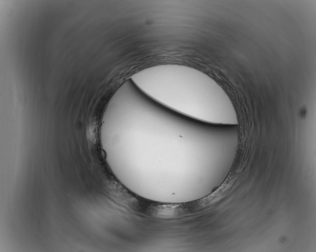 X0000100350090200806060810