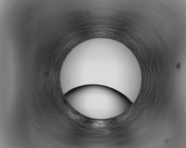 X0000100350091200806060810