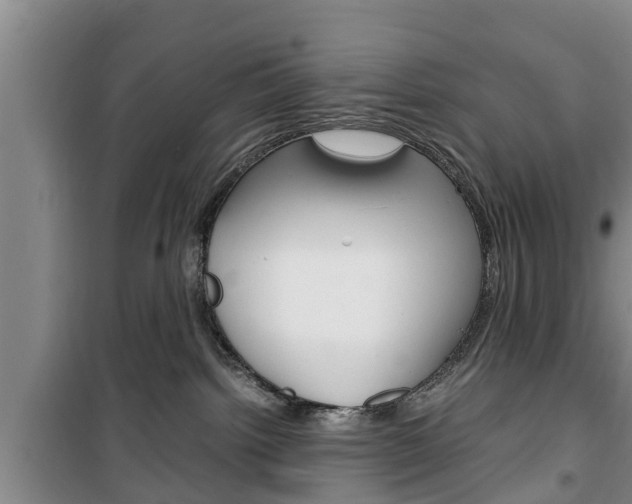X0000100350092200806060810