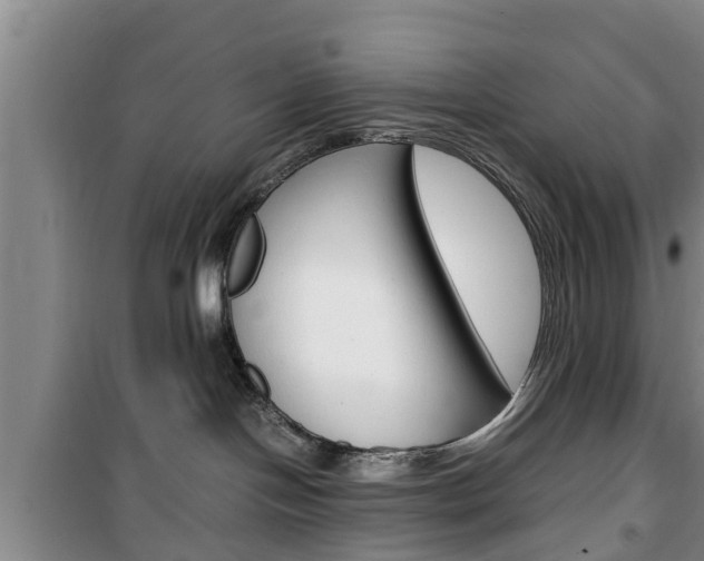 X0000100350094200806060810