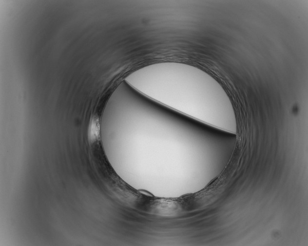 X0000100350095200806060810
