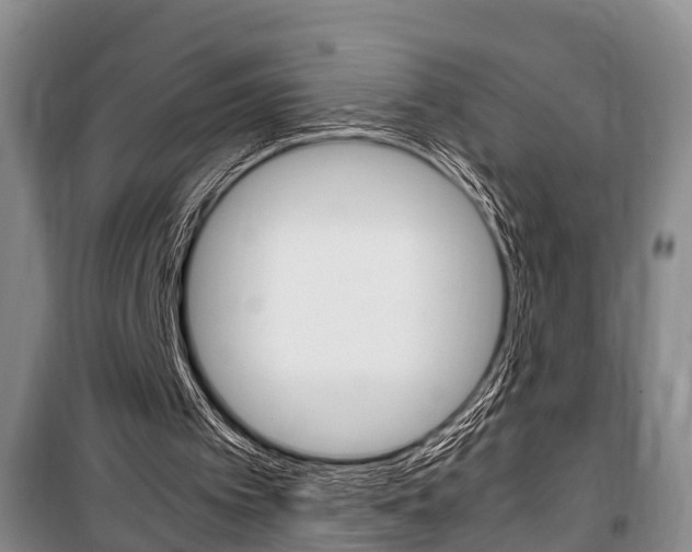 X0000100350097200806060809