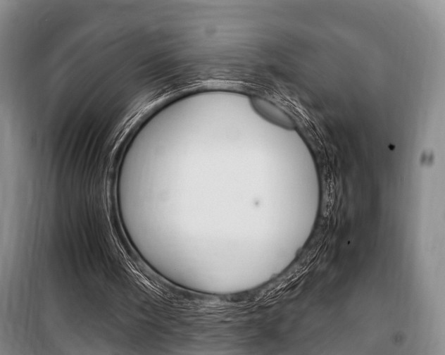X0000100350098200806060809