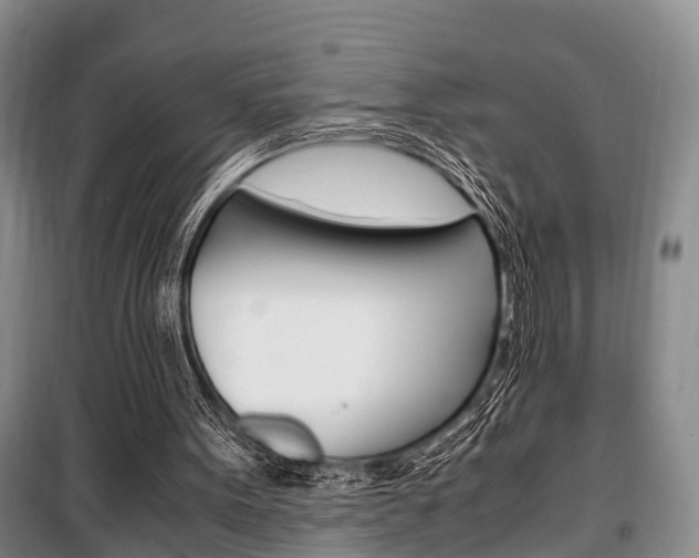 X0000100350099200806060809