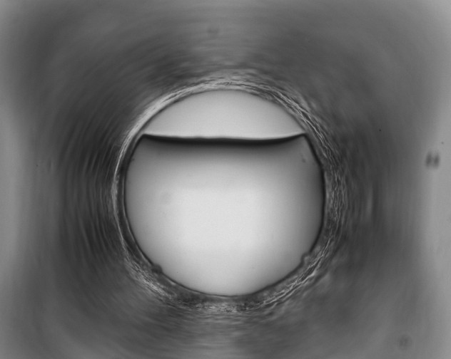 X0000100350100200806060809