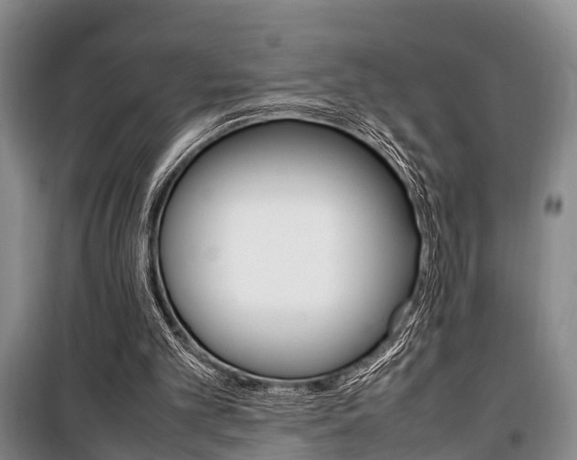 X0000100350101200806060809