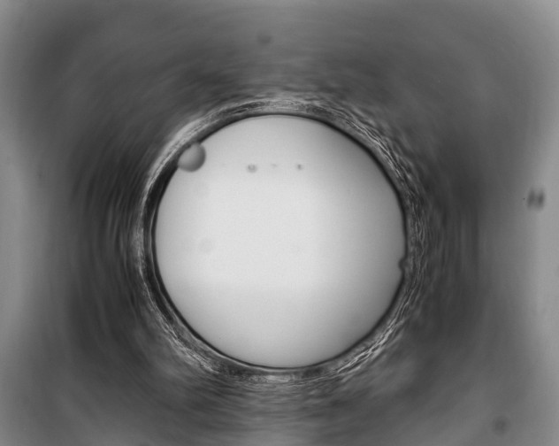X0000100350102200806060809