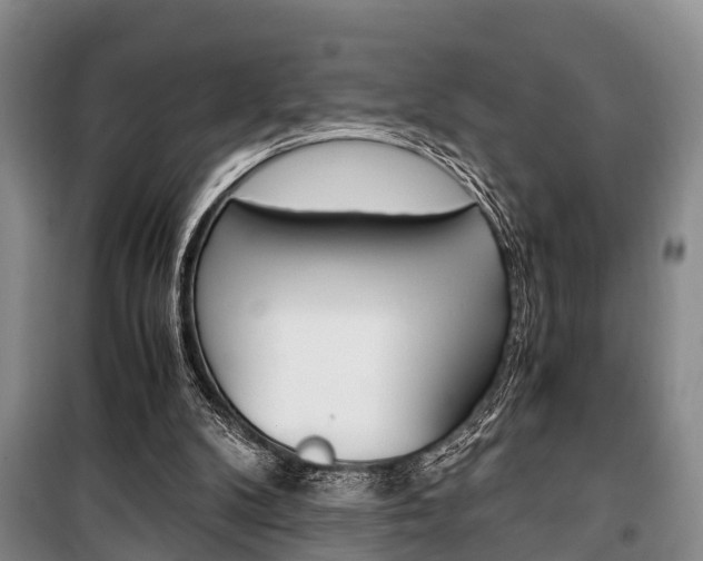X0000100350104200806060809