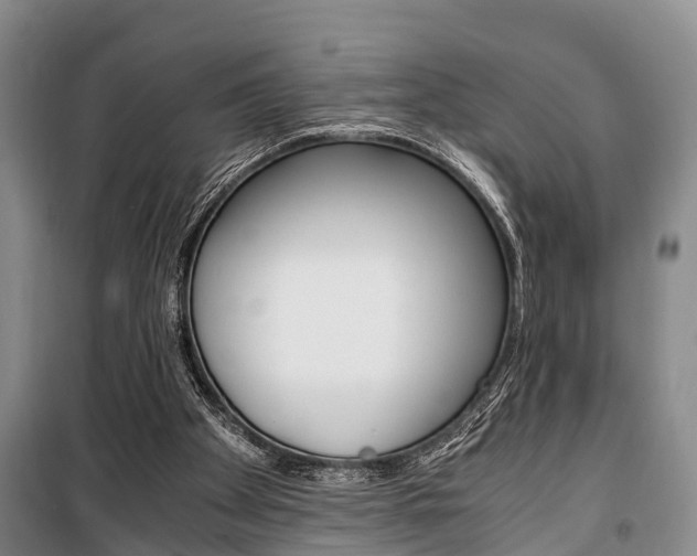 X0000100350105200806060809