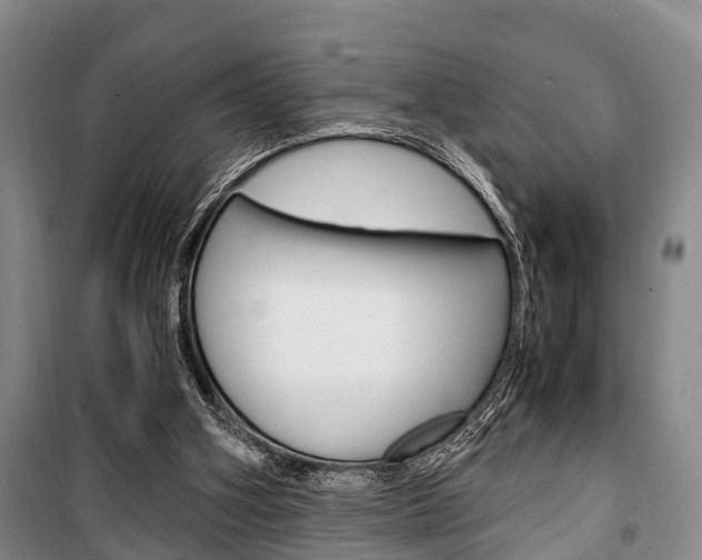 X0000100350106200806060809