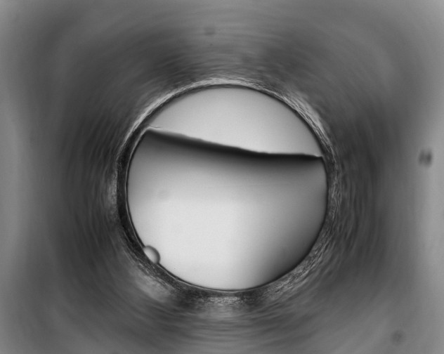 X0000100350108200806060809