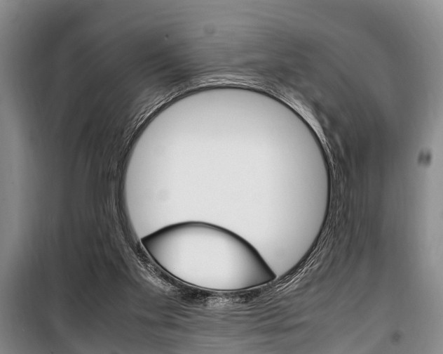 X0000100350109200806060809