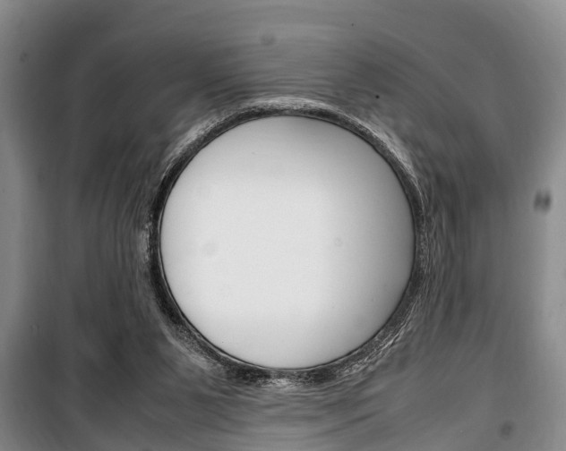 X0000100350111200806060809