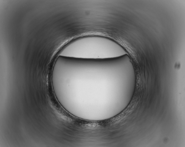 X0000100350112200806060809