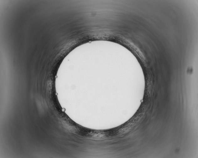 X0000100350113200806060809