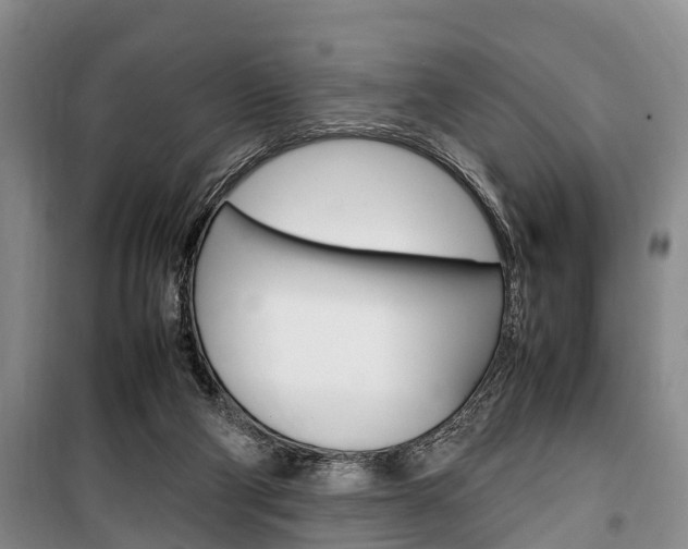X0000100350114200806060809