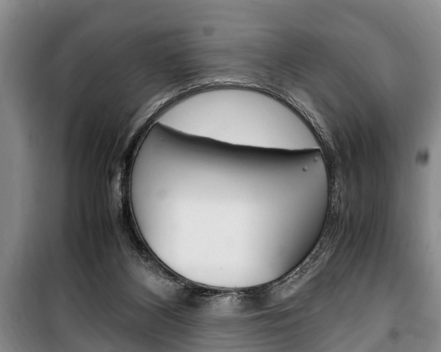 X0000100350116200806060809