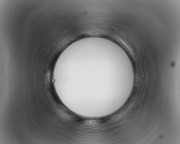 X0000100350117200806060809