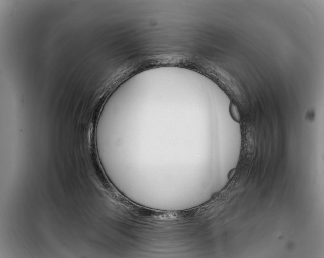 X0000100350118200806060809