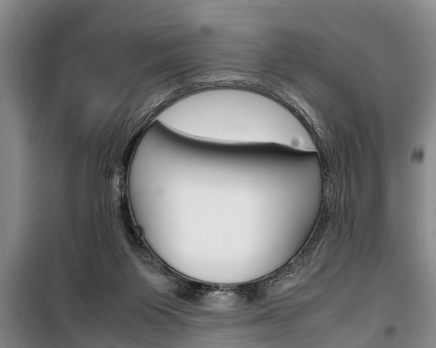 X0000100350119200806060809