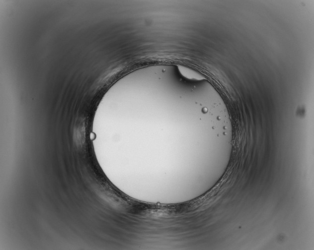X0000100350120200806060809
