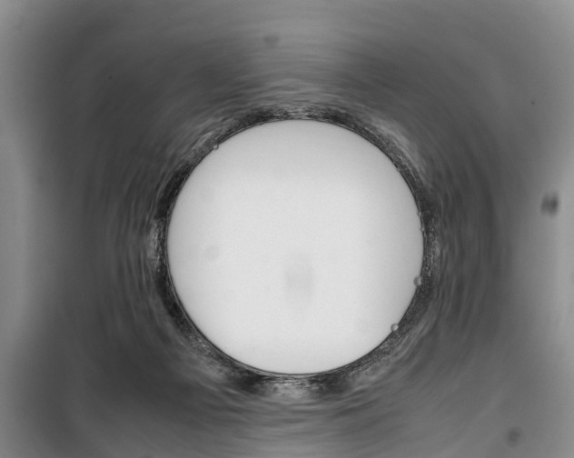 X0000100350121200806060809