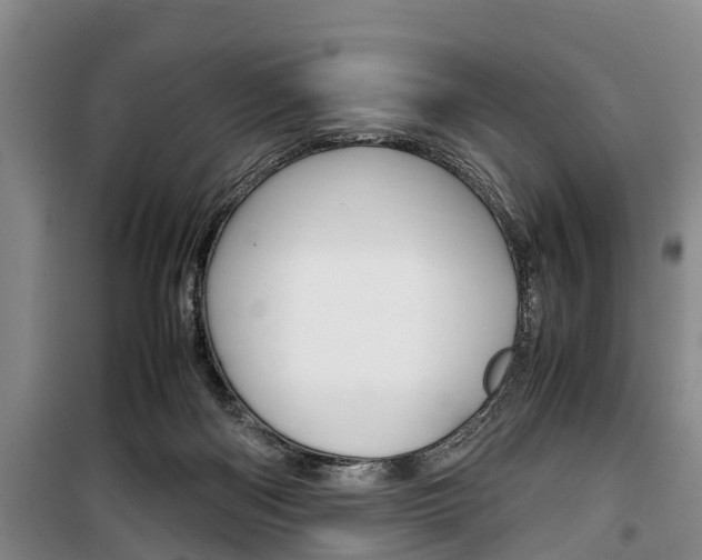 X0000100350122200806060809