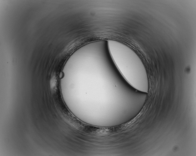 X0000100350124200806060809