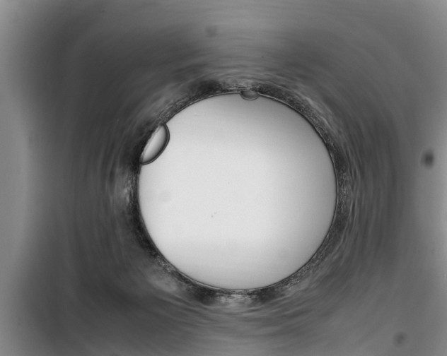 X0000100350125200806060809