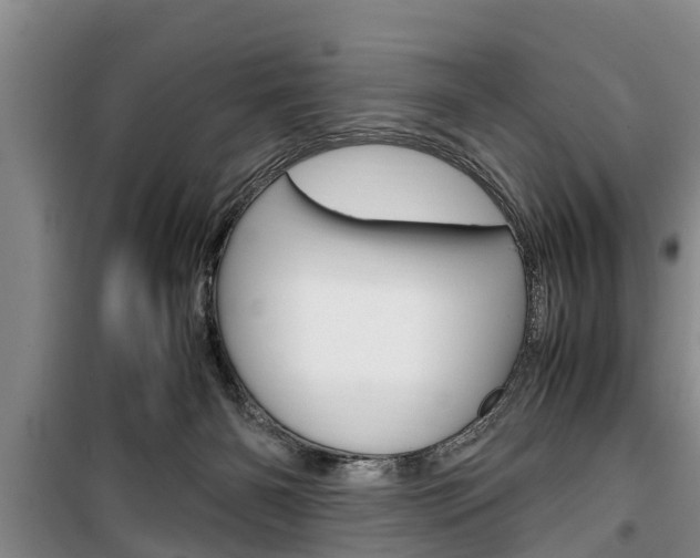 X0000100350126200806060809