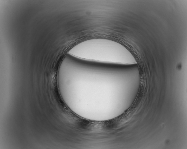 X0000100350127200806060809