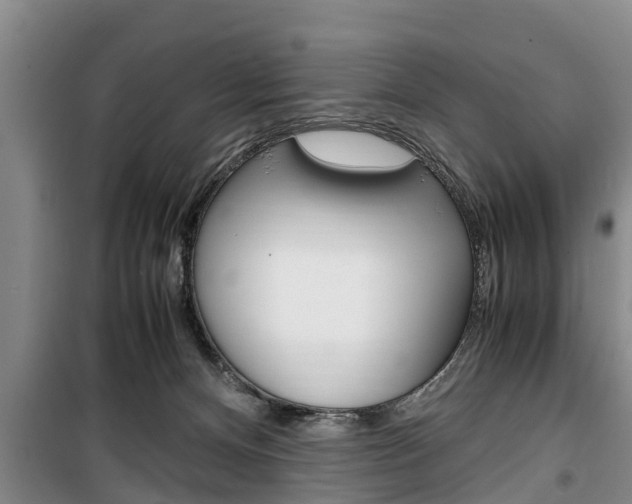X0000100350128200806060809
