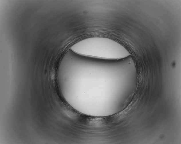 X0000100350132200806060809
