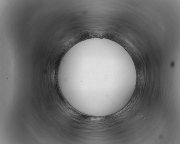 X0000100350134200806060809