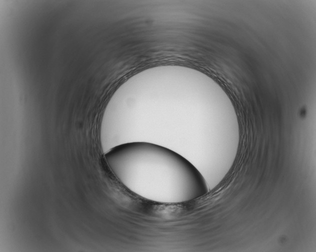 X0000100350135200806060809