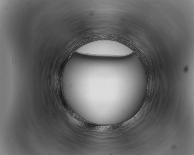 X0000100350136200806060809