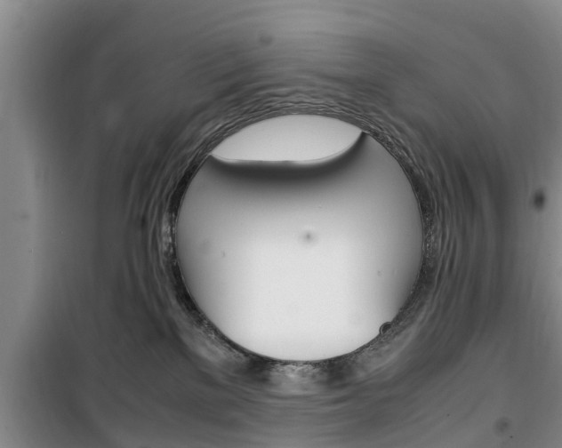 X0000100350137200806060808