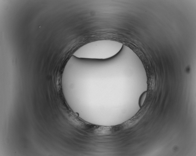 X0000100350138200806060808