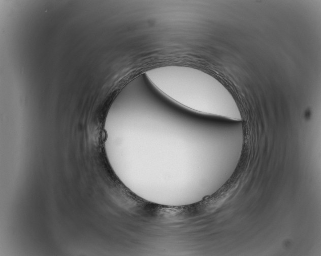 X0000100350139200806060808