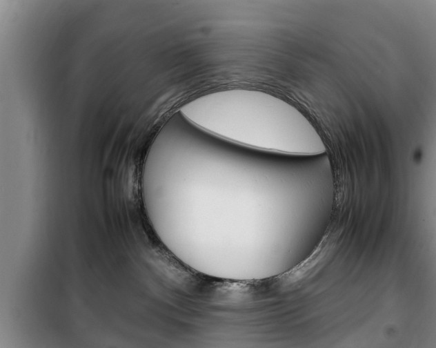 X0000100350140200806060808