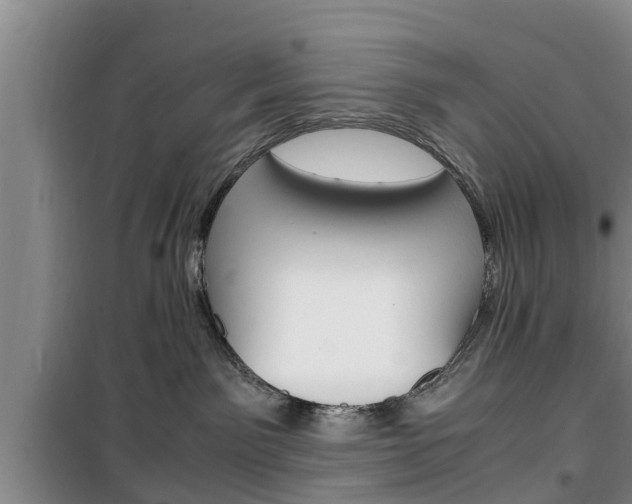 X0000100350141200806060808