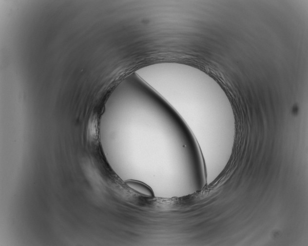 X0000100350143200806060808