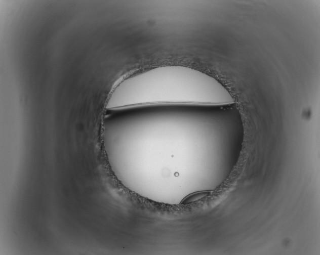 X0000100350144200806060808
