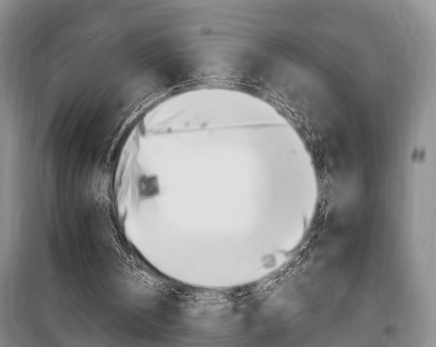 X0000100350146200806060808