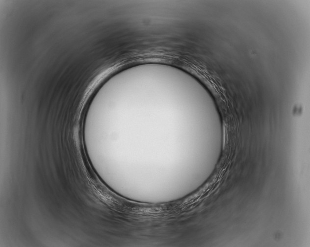 X0000100350147200806060808